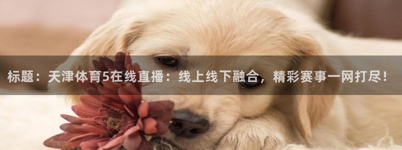 标题：天津体育5在线直播：线上线下融合，精彩赛事一网打尽！