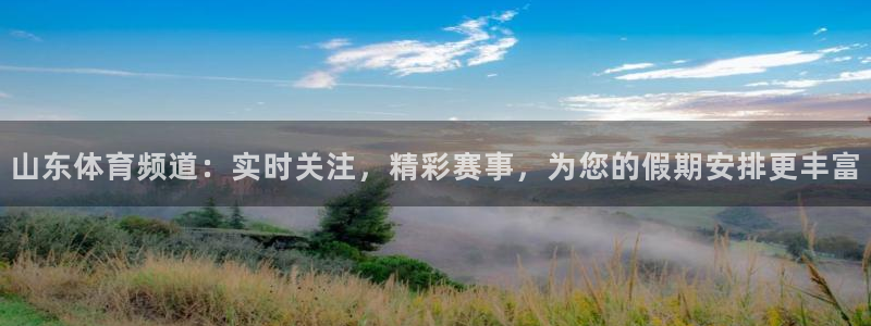 山东体育频道：实时关注，精彩赛事，为您的假期安排更丰富