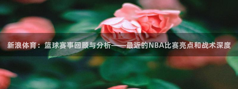 新浪体育：篮球赛事回顾与分析——最近的NBA比赛亮点和战术深度
