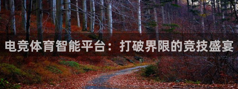 电竞体育智能平台：打破界限的竞技盛宴