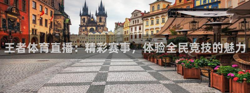 王者体育直播：精彩赛事，体验全民竞技的魅力