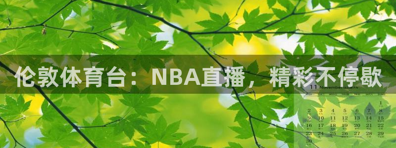 伦敦体育台：NBA直播，精彩不停歇