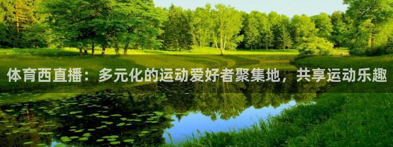 体育西直播：多元化的运动爱好者聚集地，共享运动乐趣