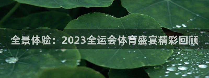 全景体验：2023全运会体育盛宴精彩回顾