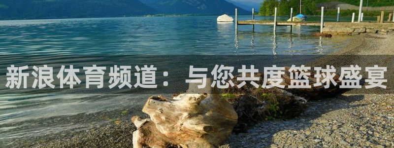 新浪体育频道：与您共度篮球盛宴