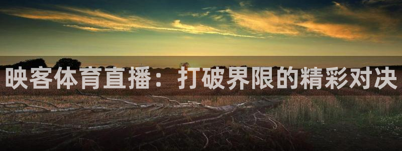 映客体育直播：打破界限的精彩对决