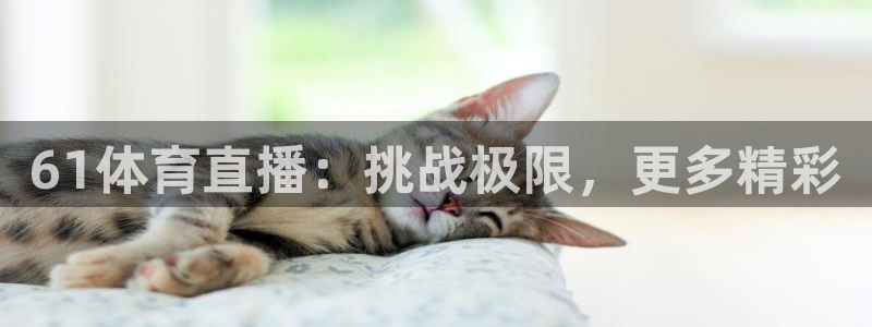 61体育直播：挑战极限，更多精彩
