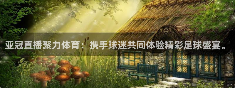 亚冠直播聚力体育：携手球迷共同体验精彩足球盛宴。