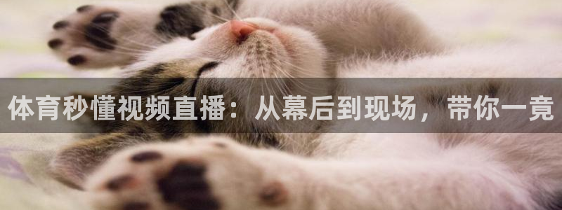 体育秒懂视频直播：从幕后到现场，带你一竟