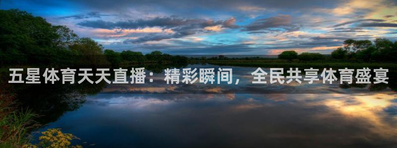 五星体育天天直播：精彩瞬间，全民共享体育盛宴